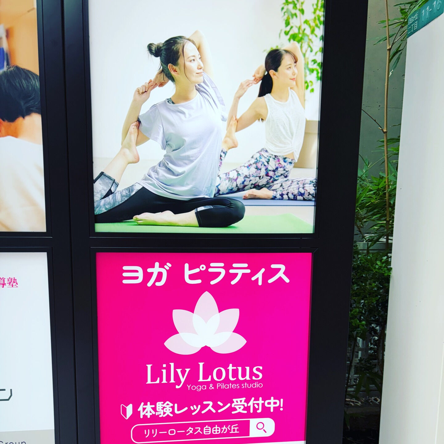 🌟初心者大歓迎！🌟