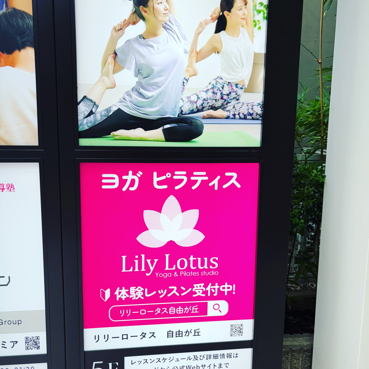 🌸リリー・ロータスへようこそ！🌸